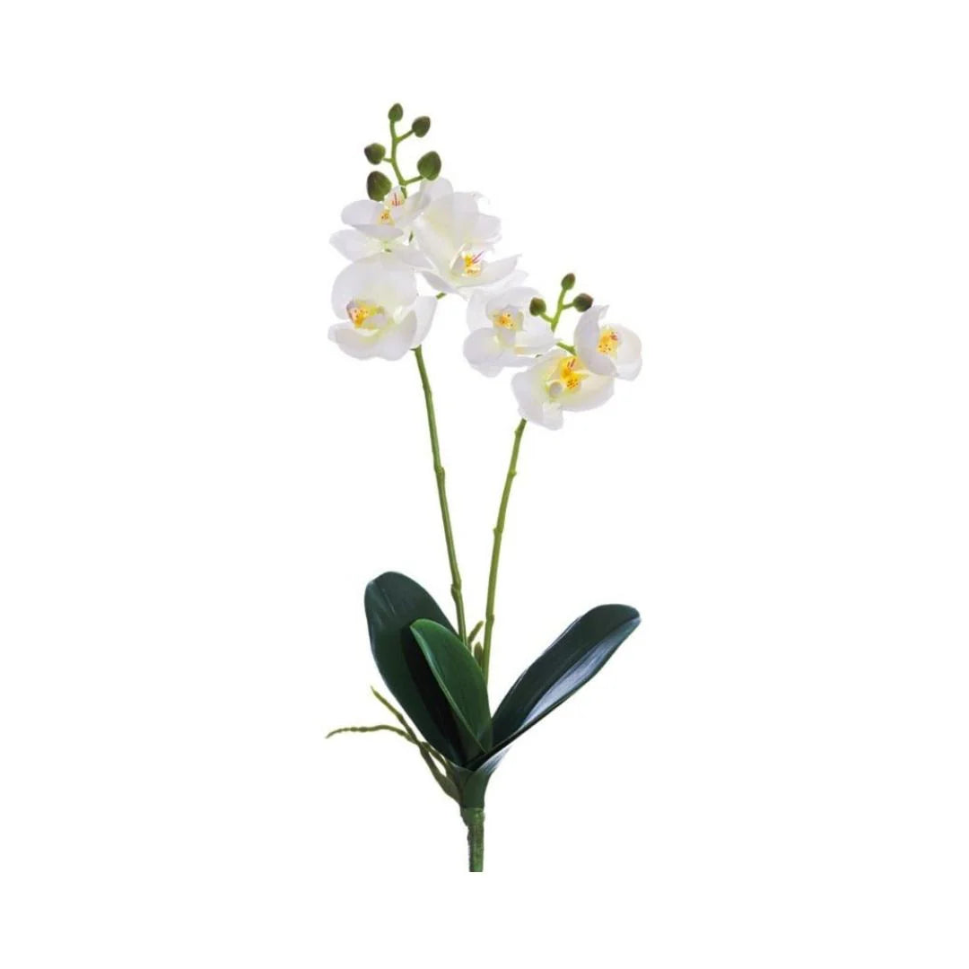 POSEIDON, VARA 2 ORQUIDEAS