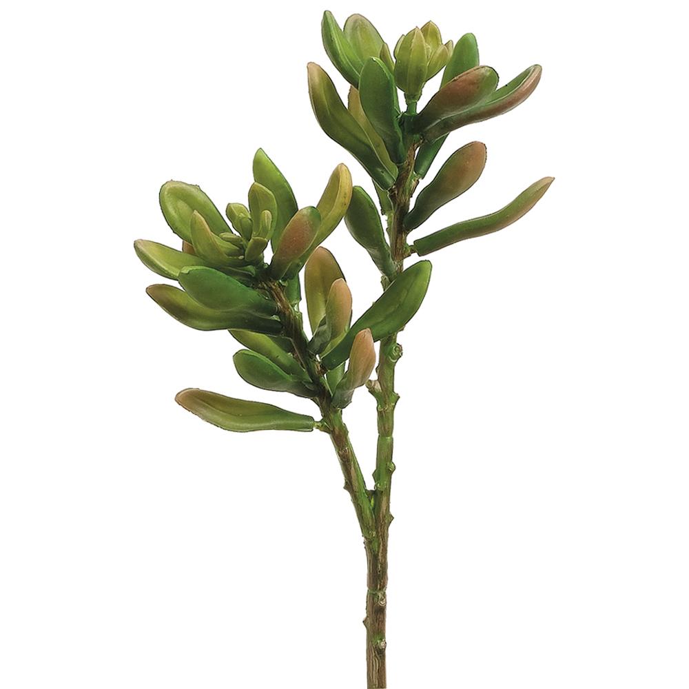 JADE, PLANTA