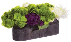 LATE, BOUQUET