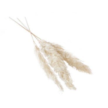 ORISIS, PAMPAS GRANDES