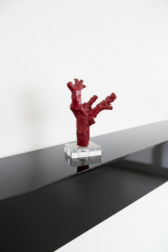 CORAL ROJO, ESCULTURA