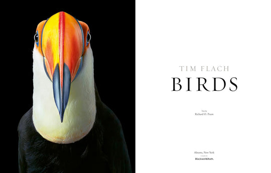 BIRDS, LIBRO