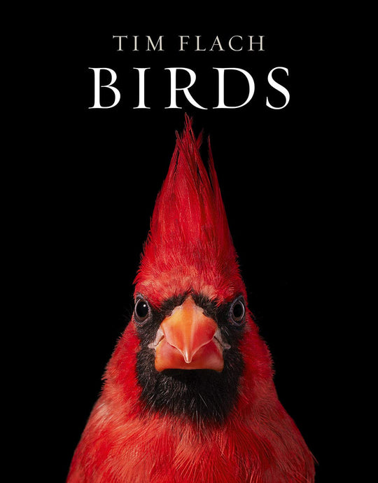 BIRDS, LIBRO