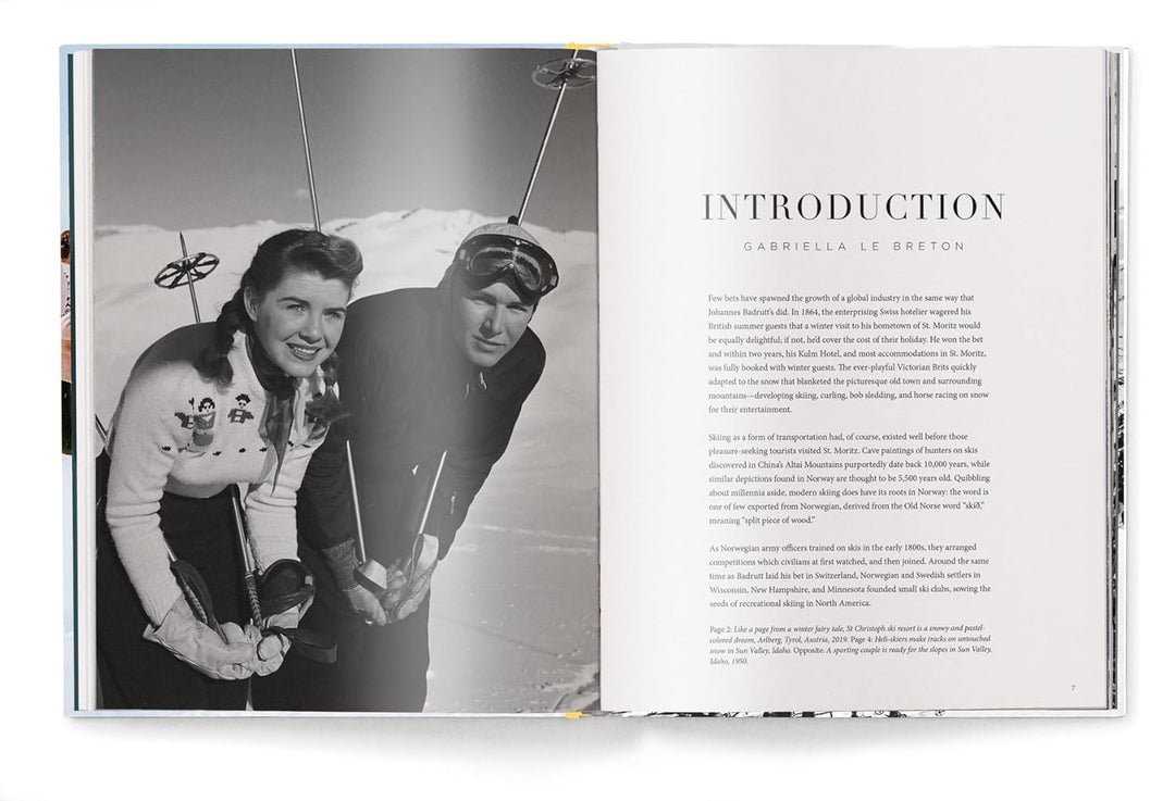 STYLISH LIFE: SKIING, LIBRO GABRIELLE LE BRETON