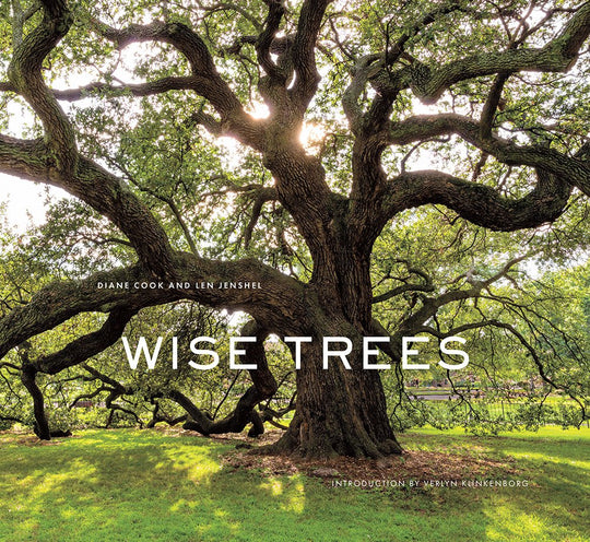 WISE TREES, LIBRO