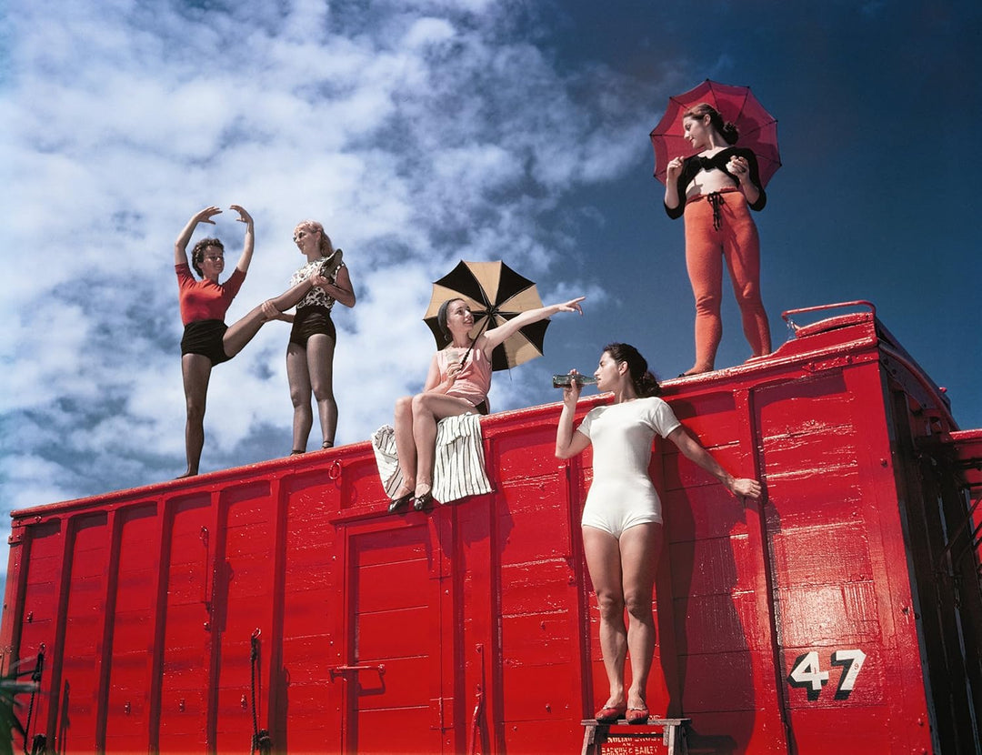 THE CIRCUS 1870s - 1950s, LIBRO NOEL DANIEL