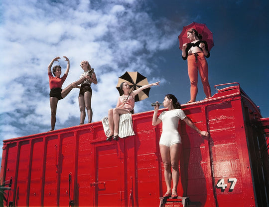 THE CIRCUS 1870s - 1950s, LIBRO NOEL DANIEL