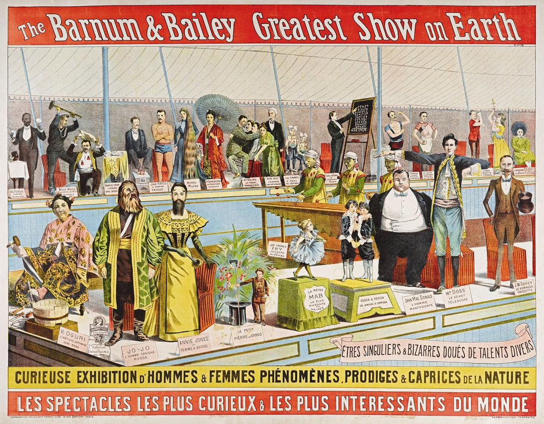 THE CIRCUS 1870s - 1950s, LIBRO NOEL DANIEL