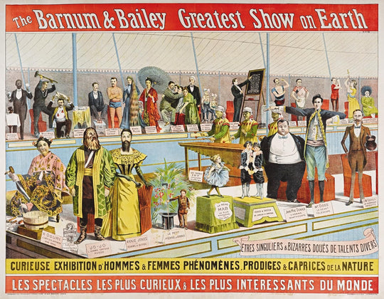 THE CIRCUS 1870s - 1950s, LIBRO NOEL DANIEL