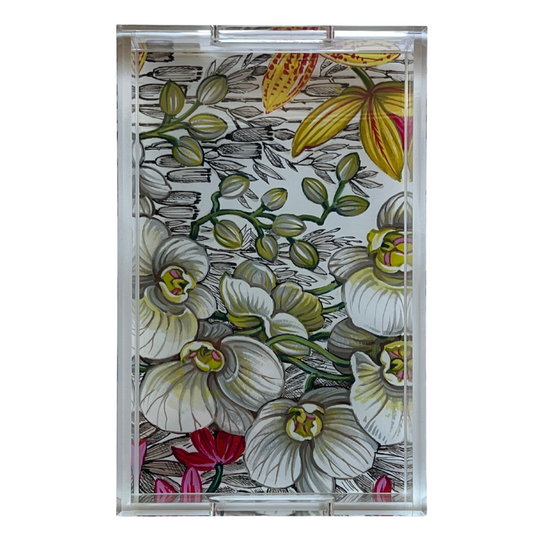 PATTY, CHAROLA ORQUÍDEA