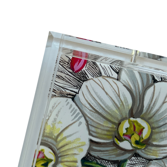 PATTY, CHAROLA ORQUÍDEA