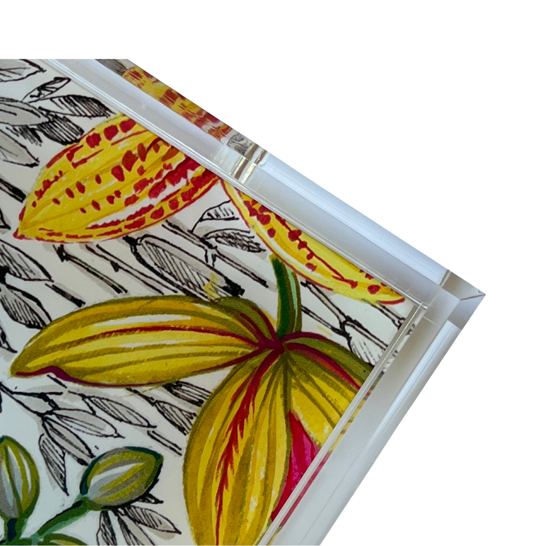 PATTY, CHAROLA ORQUÍDEA