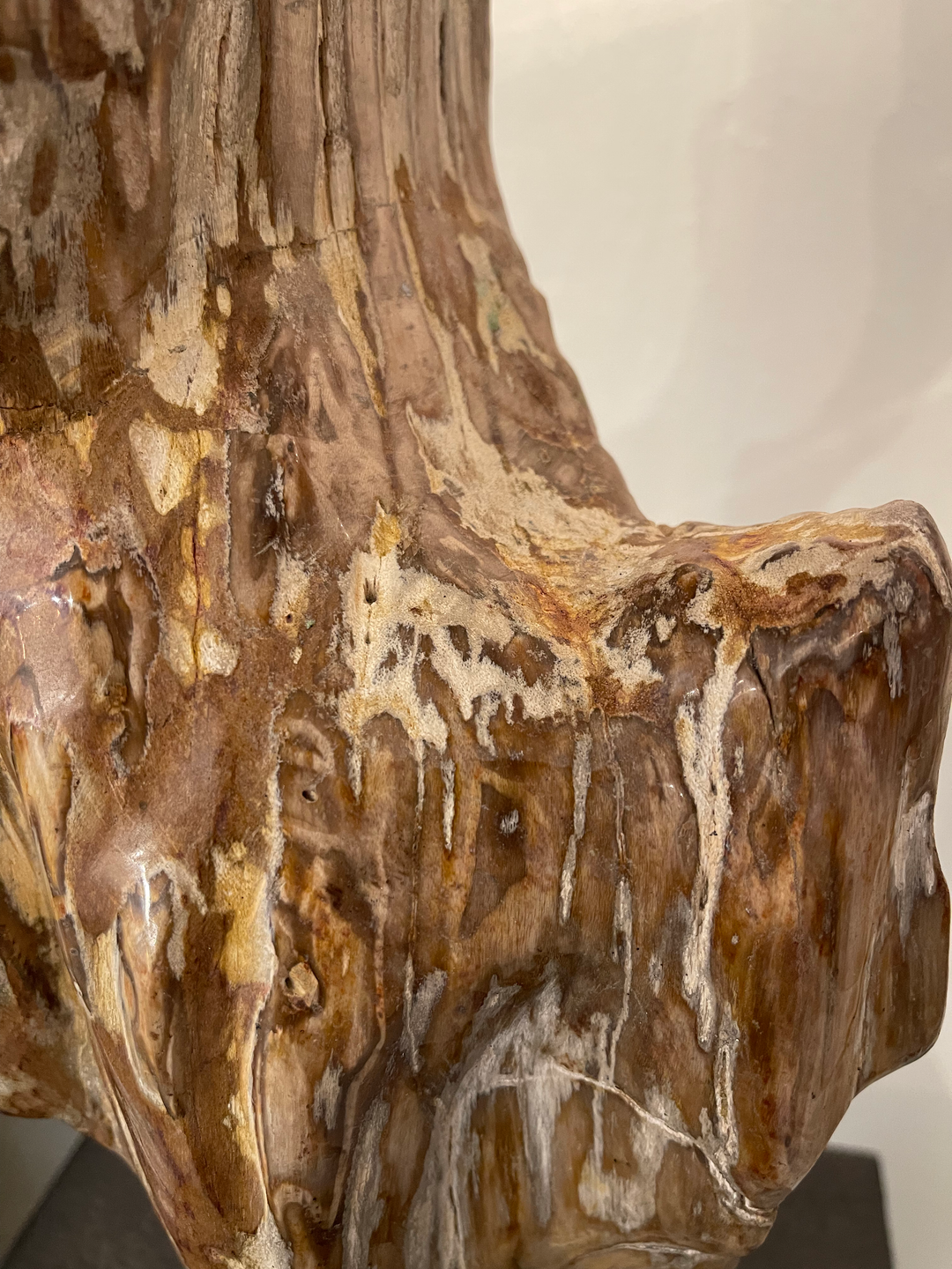 FOSSIL, ESCULTURA