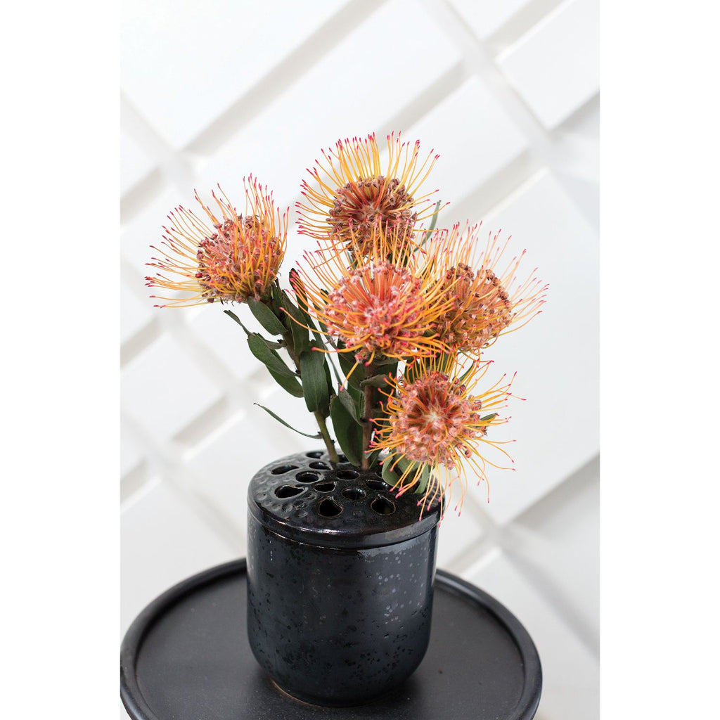 BARWICK, JARRON NEGRO GDE