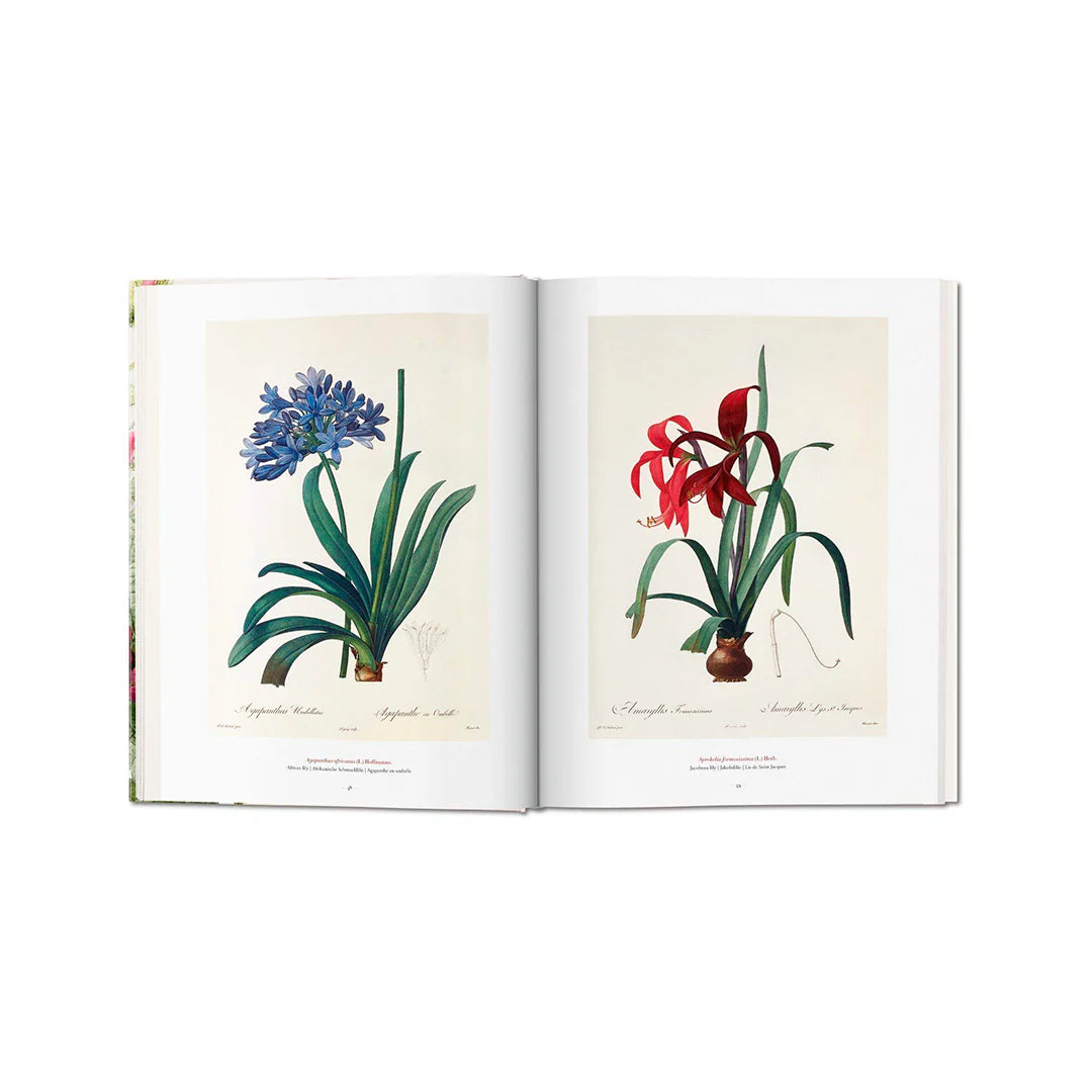 THE BOOK OF FLOWERS, LIBRO