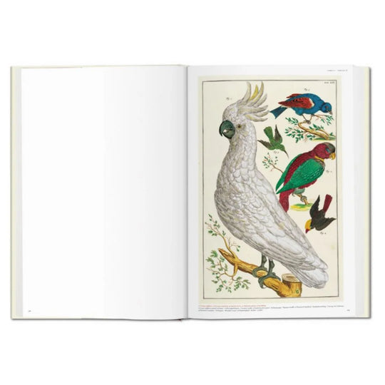 SEBA CABINET OF CURIOSITIES, LIBRO