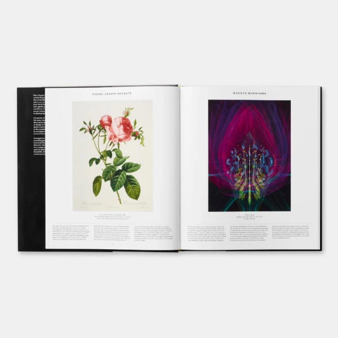 PLANT, PHAIDON EDITORS