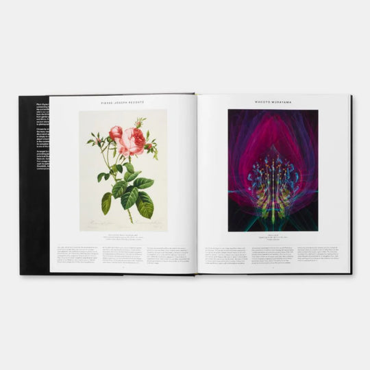 PLANT, PHAIDON EDITORS
