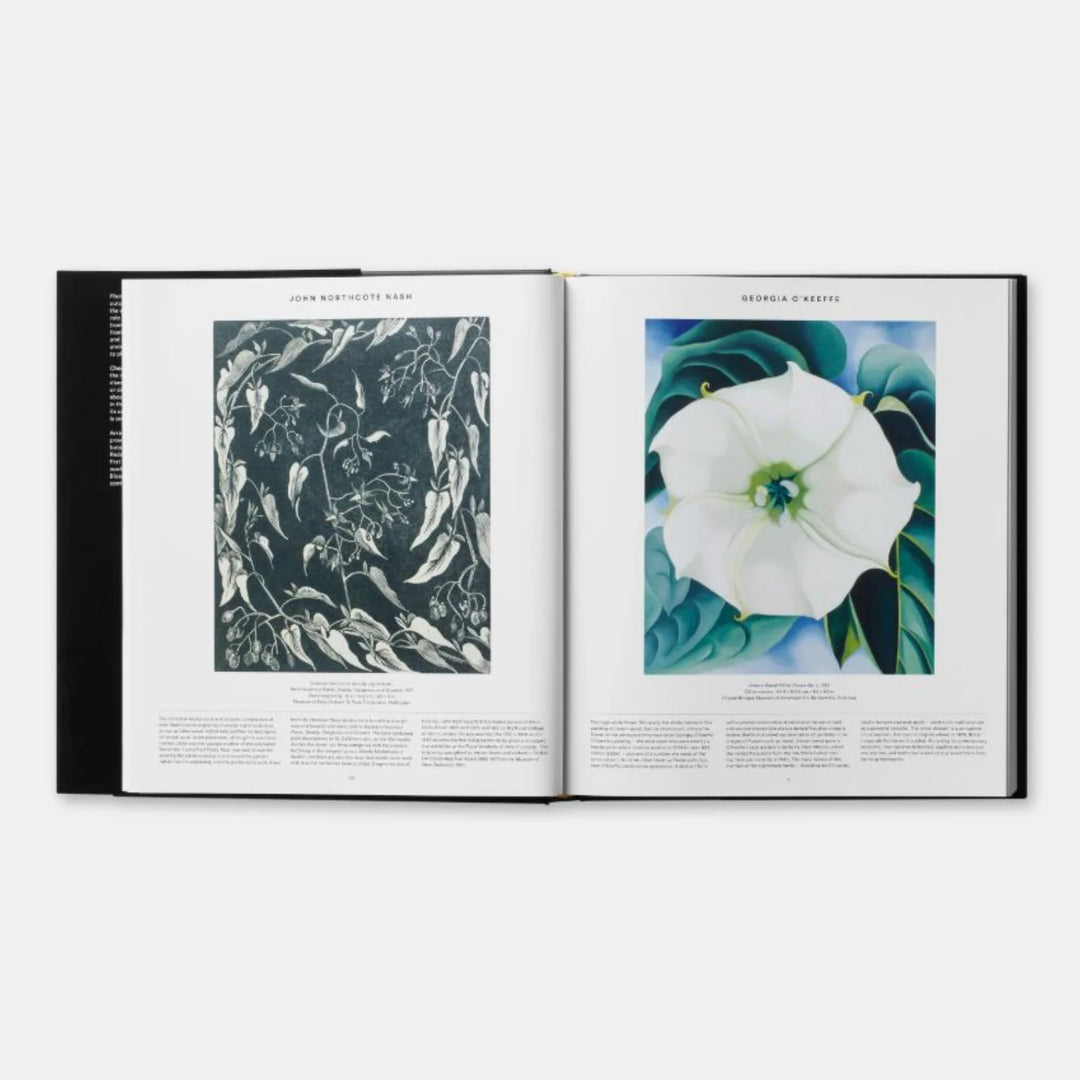 PLANT, PHAIDON EDITORS