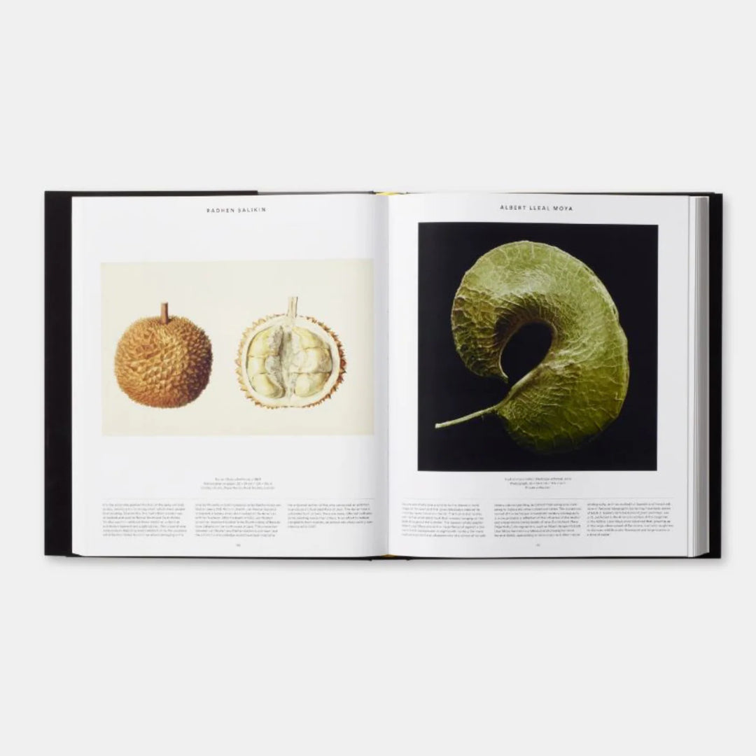 PLANT, PHAIDON EDITORS