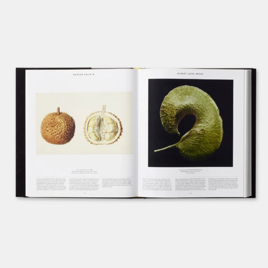 PLANT, PHAIDON EDITORS
