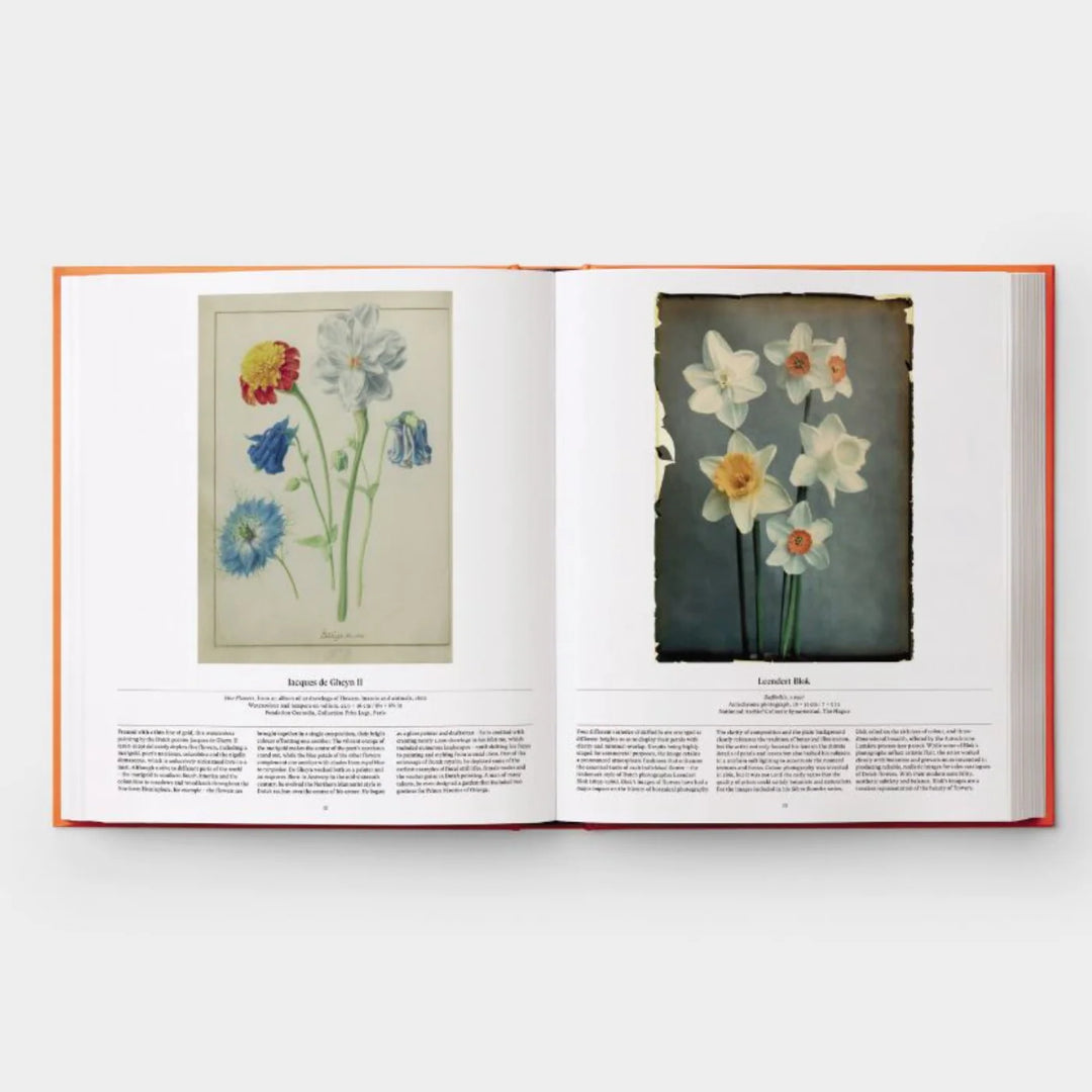 FLOWER, LIBRO FLOWERS