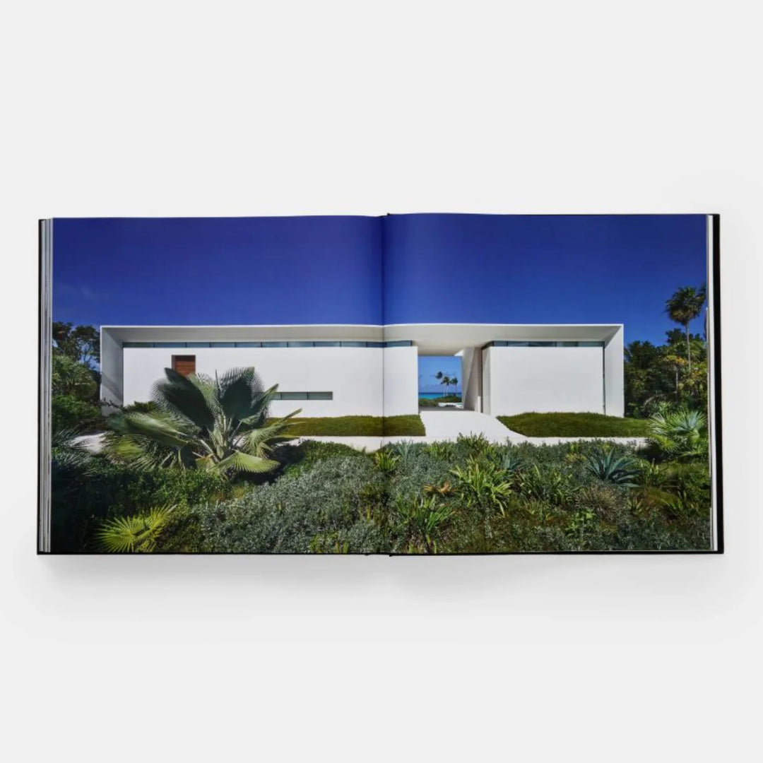 PETER MARINO, LIBRO  PETER MARINO