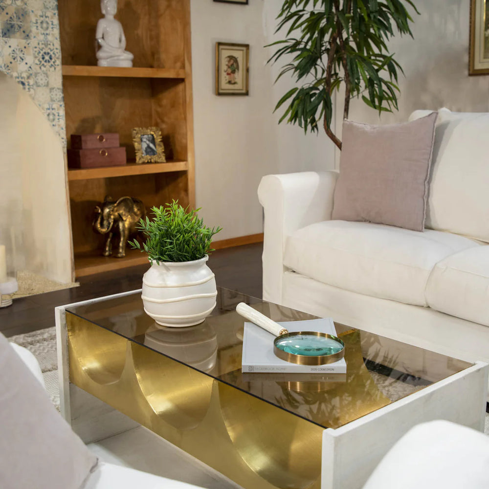 ASIA, LUPA BLANCA 6''