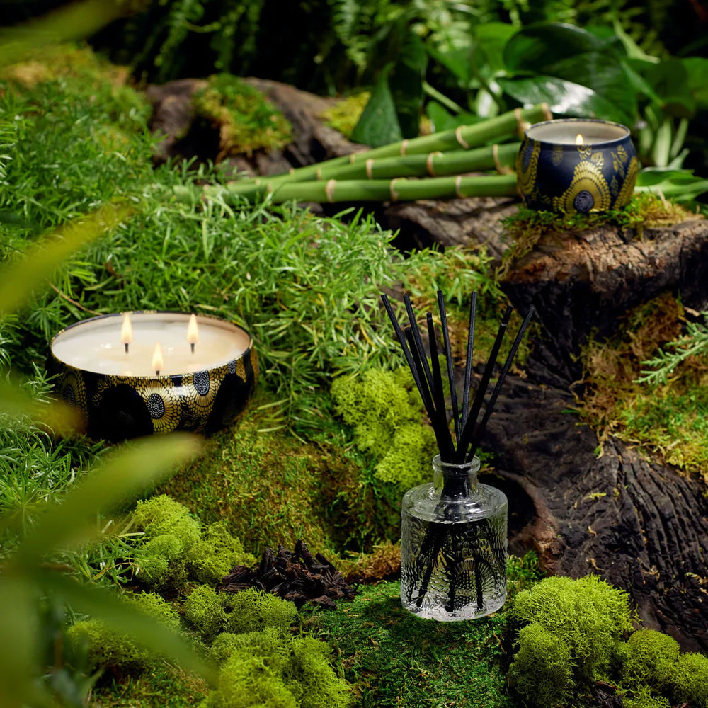 VELA RINED, VELA BAMBOO, CIPRES JAPONES