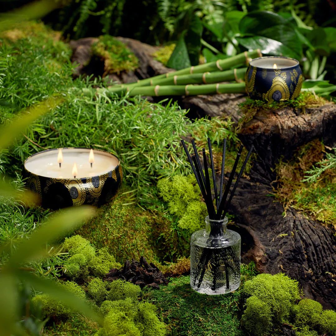 VELA RINED, VELA BAMBOO, CIPRES JAPONES