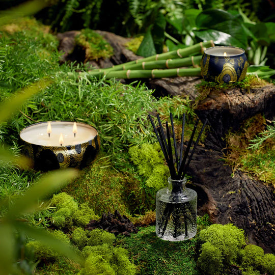 VELA RINED, VELA BAMBOO, CIPRES JAPONES