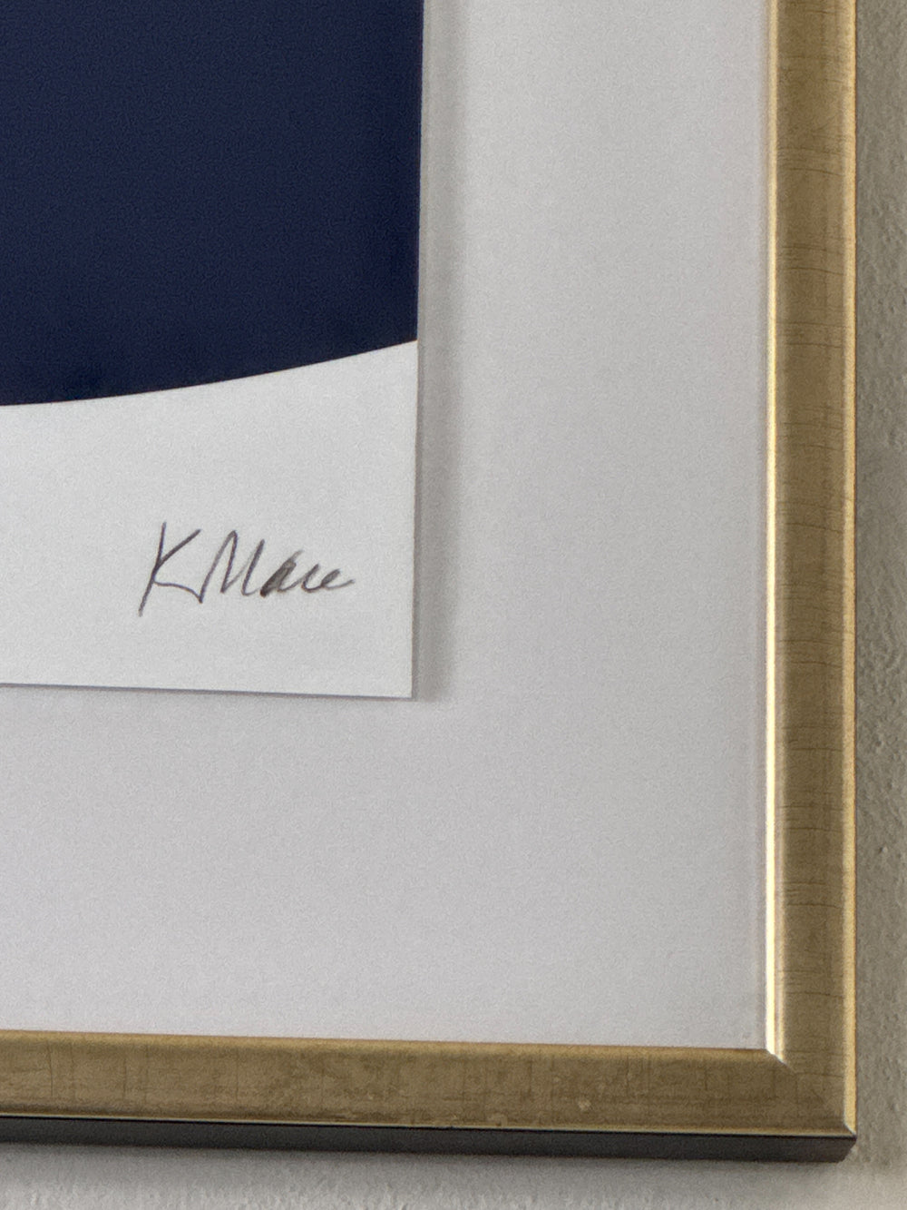 REFLEJO CELULAR, CUADRO FIORI II 20X20