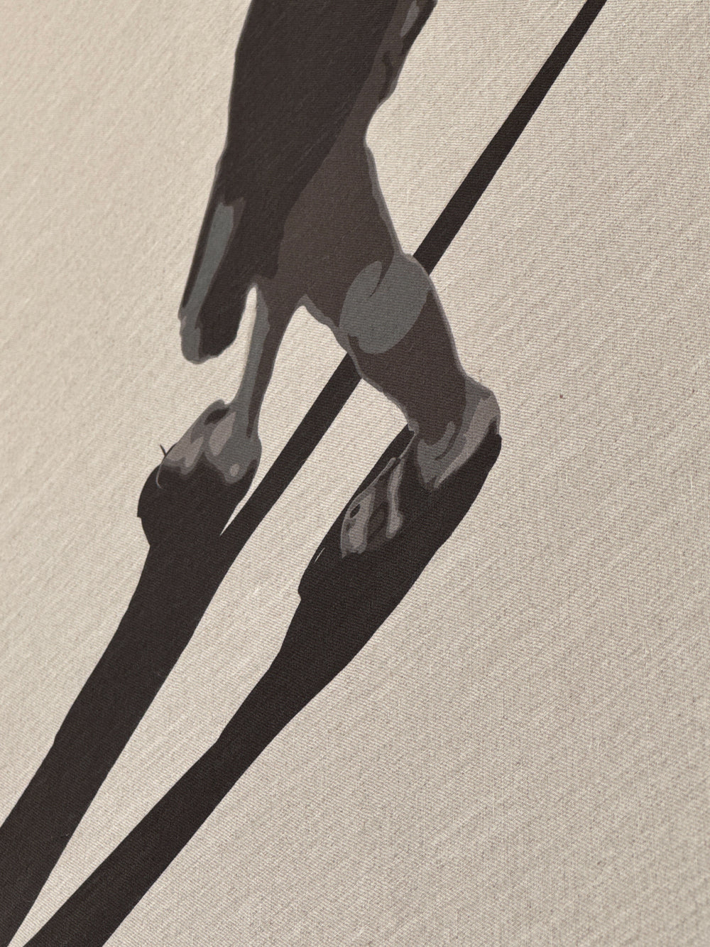 CANYET II, CUADRO SOMBRAS IV