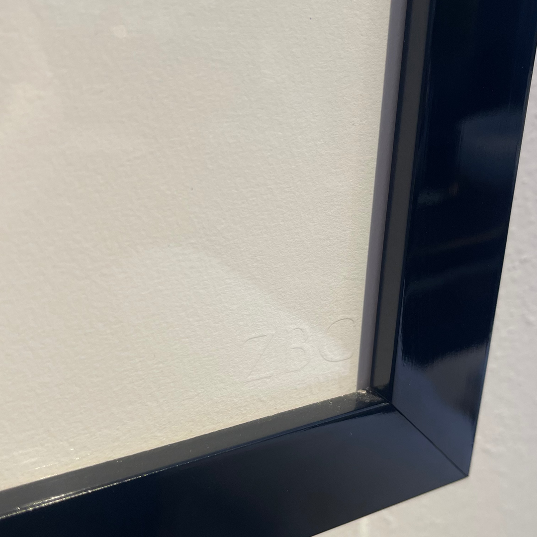 MIRADA VELADA, CUADRO