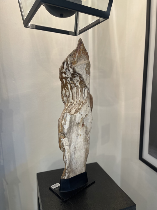 FOSSIL, ESCULTURA
