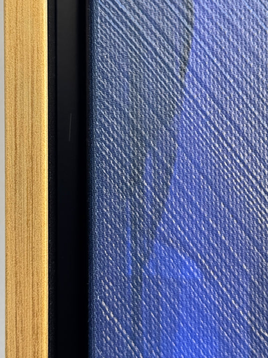 INDIGGO CURVE II, CUADRO