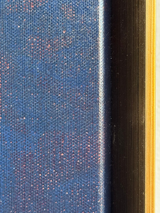 MY THOUGHTS, CUADRO 40*50