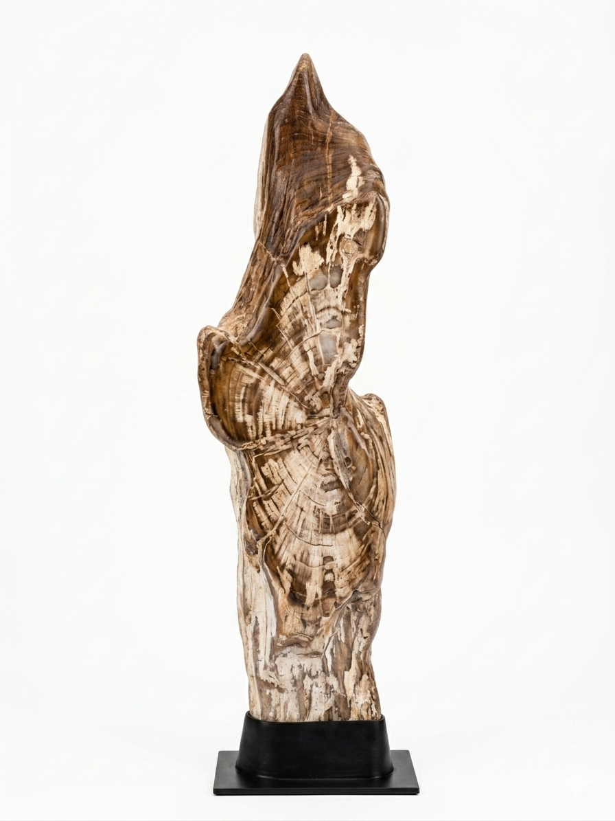 FOSSIL, ESCULTURA