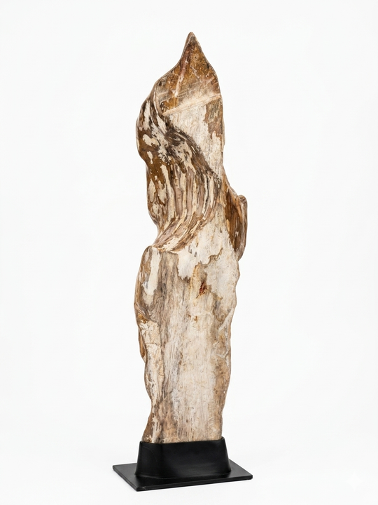 FOSSIL, ESCULTURA