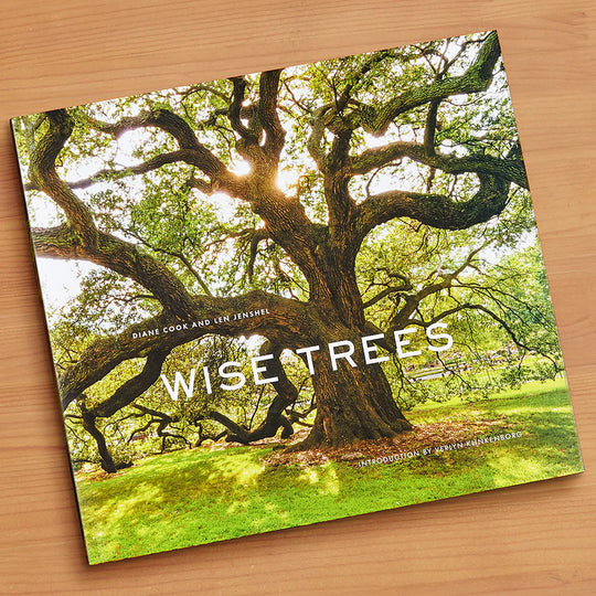 WISE TREES, LIBRO