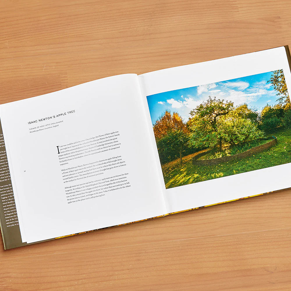 WISE TREES, LIBRO